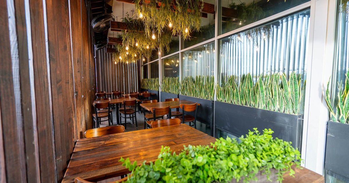 Interior, seating area with decorative plants on the ceiling