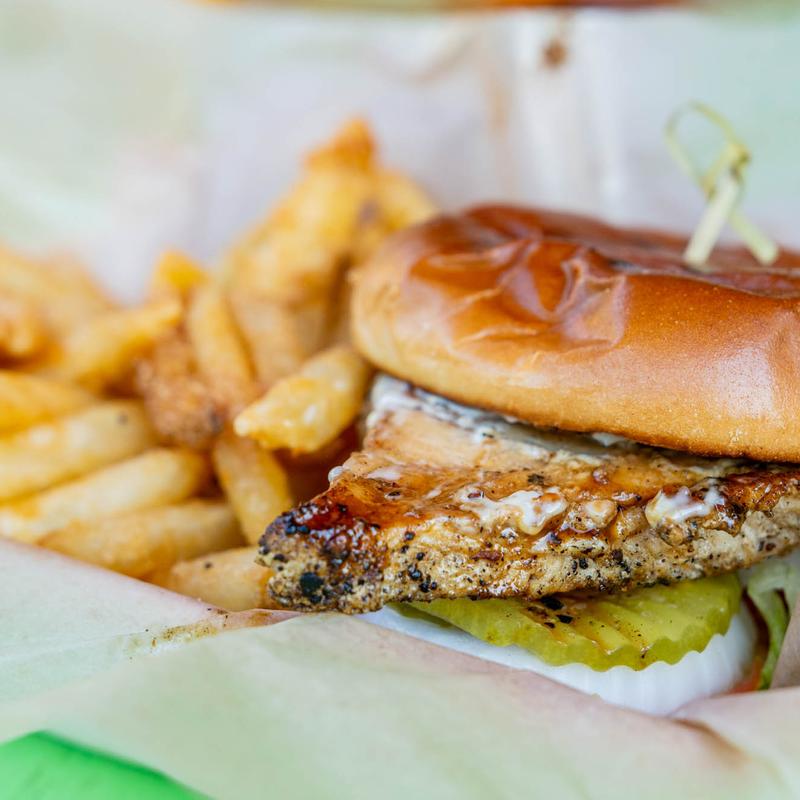 Grilled Chicken Sandwhich photo