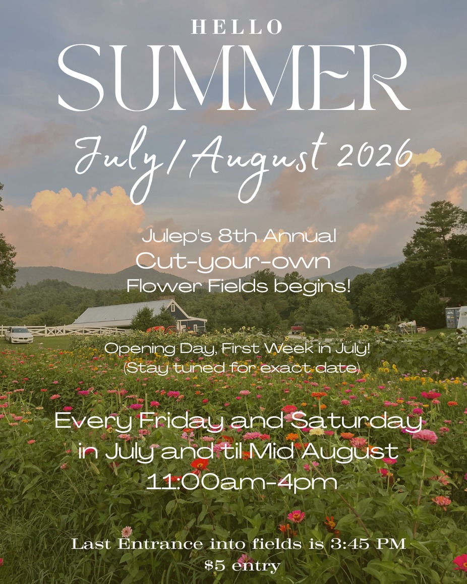 8th Annual Flower Fields event photo