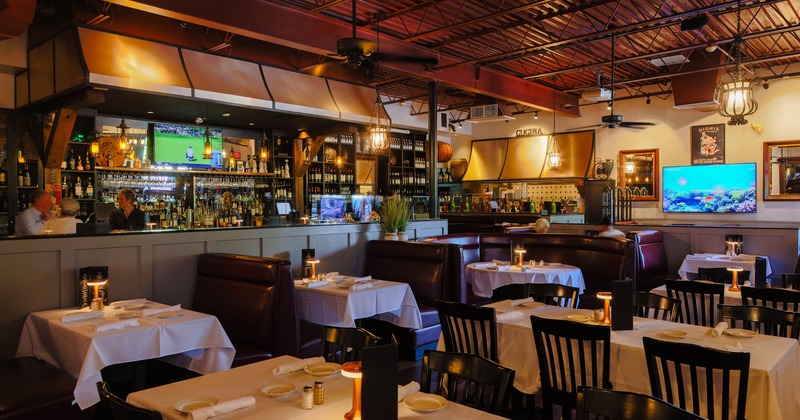 Interior, dining area