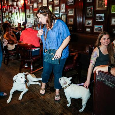 gallery photo number 8