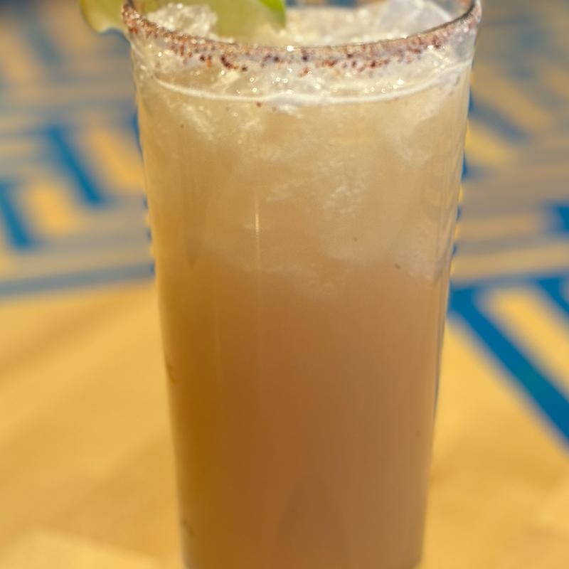 Paloma photo