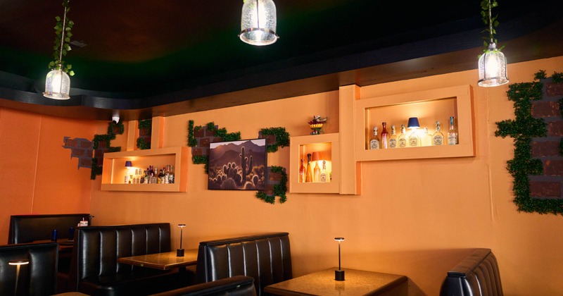 Interior - orange walls, backlit alcohol displays, cactus painting and black leather booths