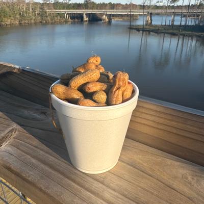 gallery photo number 22