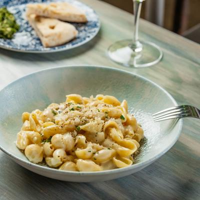 Conchiglie ai Quattro Formaggi - Shells in 4 Cheeses: Fontina, Gruyere, Mozzarella, Parmigiana.