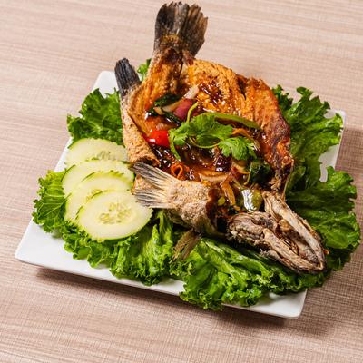 Whole fried fish with sauce, lettuce, and cucumber slices on a square plate.