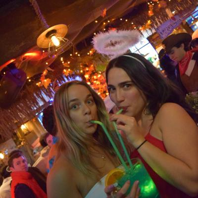 gallery photo number 376