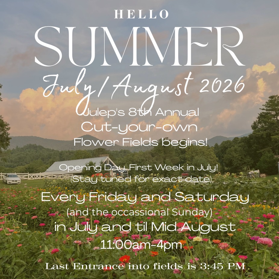 8th Annual Flower Fields event photo