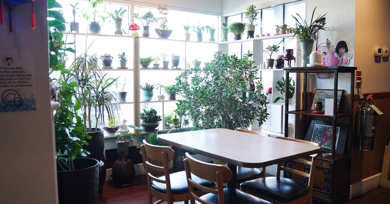 Interior, seating place with plants in the back