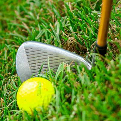 gallery photo number 24