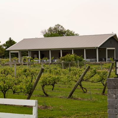 gallery photo number 2