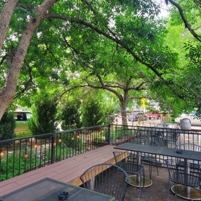 Outdoor seating area under trees