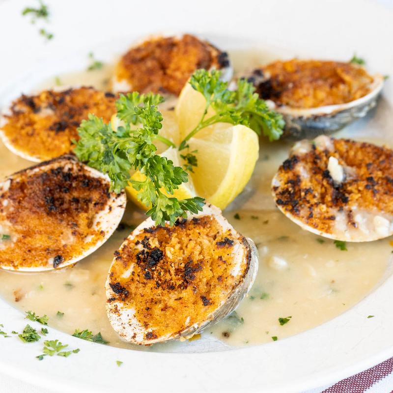 Clams Oregonato photo