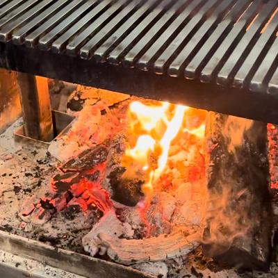 Wood fire grill & smoker.