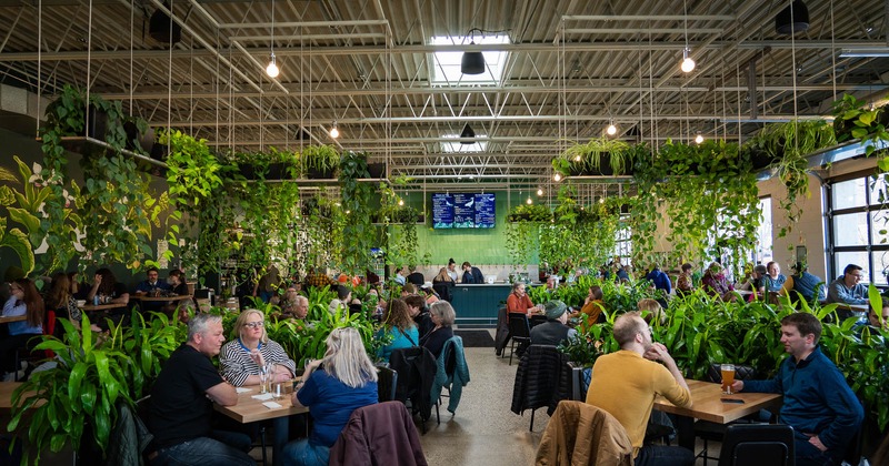 Interior, seating area, customers sitting at the tables