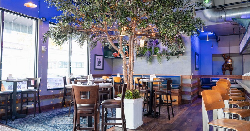 Interior, dining area, high seating tables, large tree as a room centerpiece