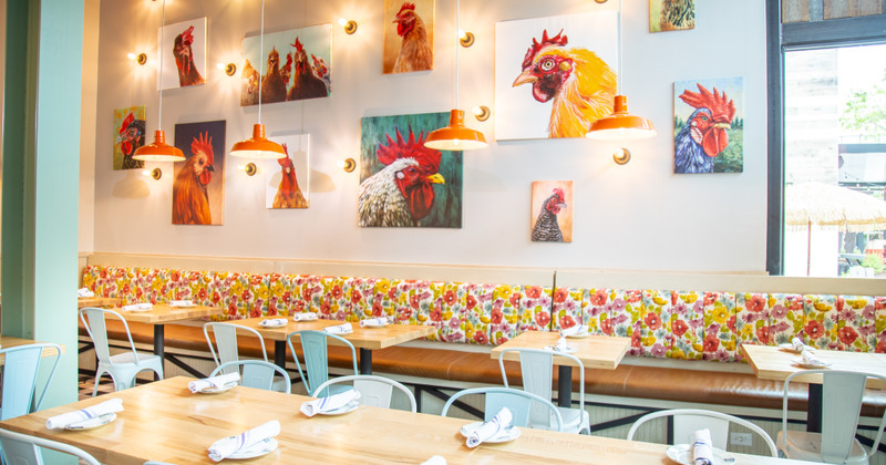 Interior, paintings of chickens on wall