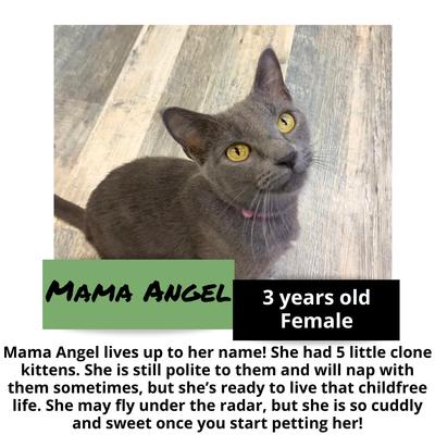 gallery photo number 4