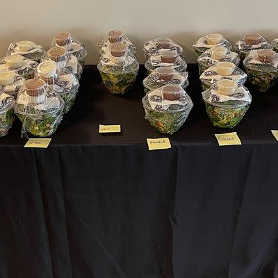 gallery photo number 12