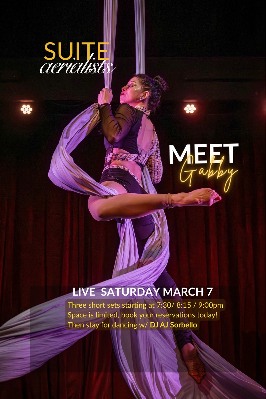 Amazing Aerial Performance event photo