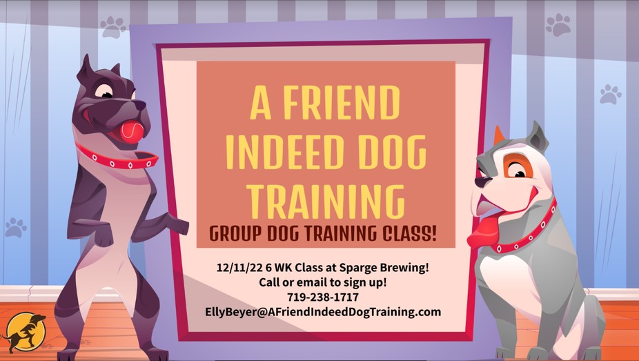 Group Dog Obedience Classes event photo