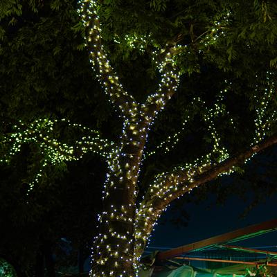 gallery photo number 55