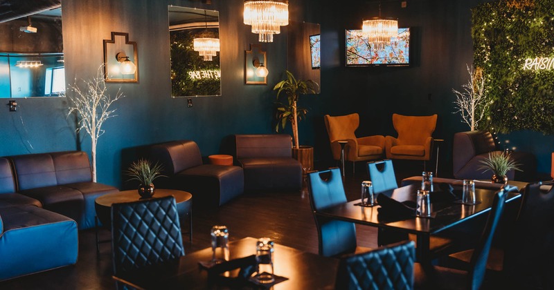 Interior, lounge and dining area, regular dining tables, armchairs and corner sofa