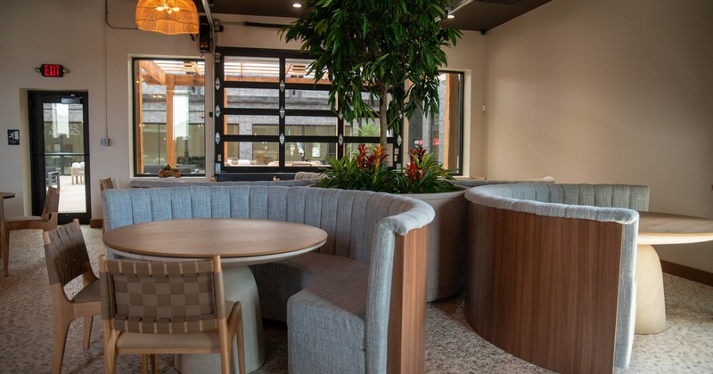 Indoor seating area with a semi-circular booth, central plant, and woven pendant light
