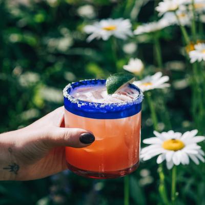 gallery photo number 22