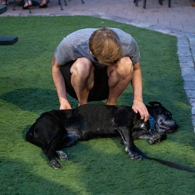 gallery photo number 14