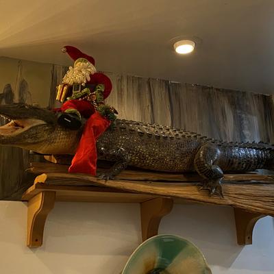 santa gator 2.