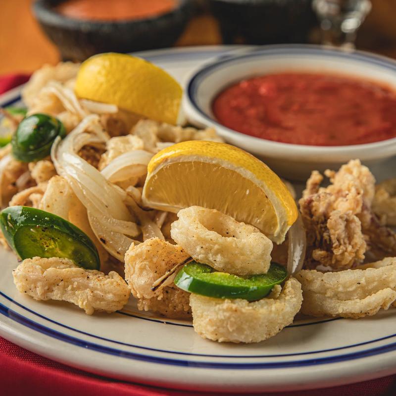 Calamari photo
