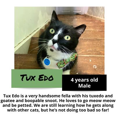 gallery photo number 8