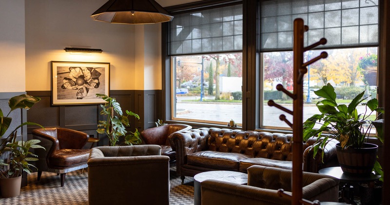 Interior, cozy corner near the windows