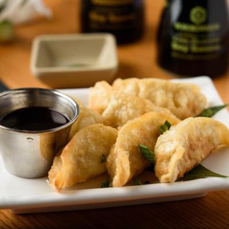 Chicken Dumplings photo