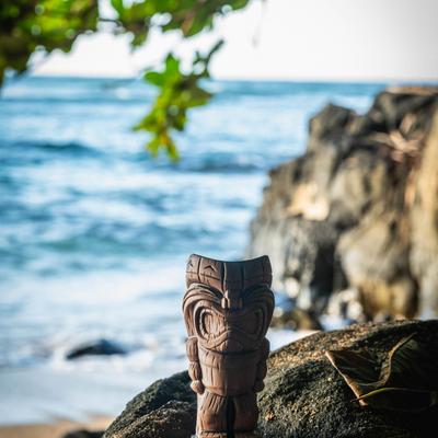 gallery photo number 17