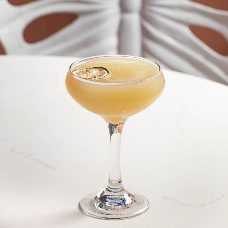 Magnolia Blanco photo