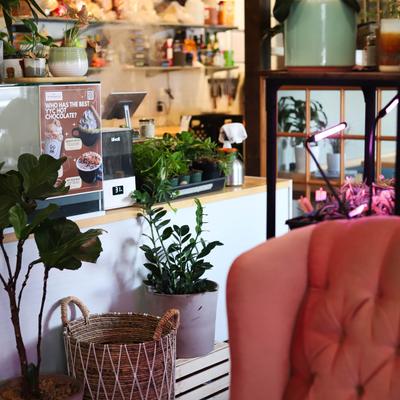 A cozy corner with potted plants and a pink chair.