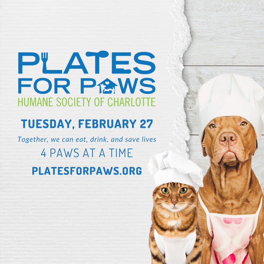 Plates For Paws | Charlotte Humane Society event photo