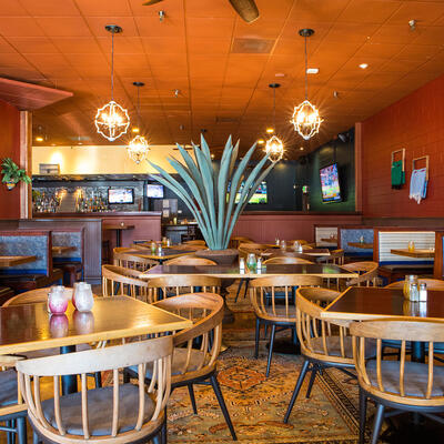 Interior, main seating area with plants