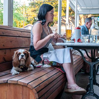 Patio area, a guest dining, accompanied by a dog