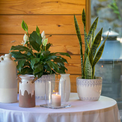 Small tabble and ornaments