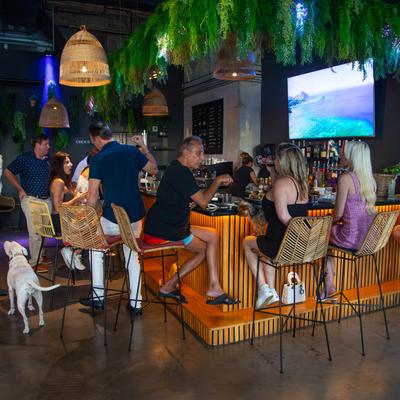 Customers sitting at the bar.