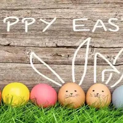 gallery photo number 356