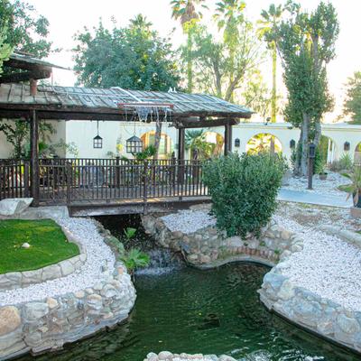 Wooden bridge over a pond.
