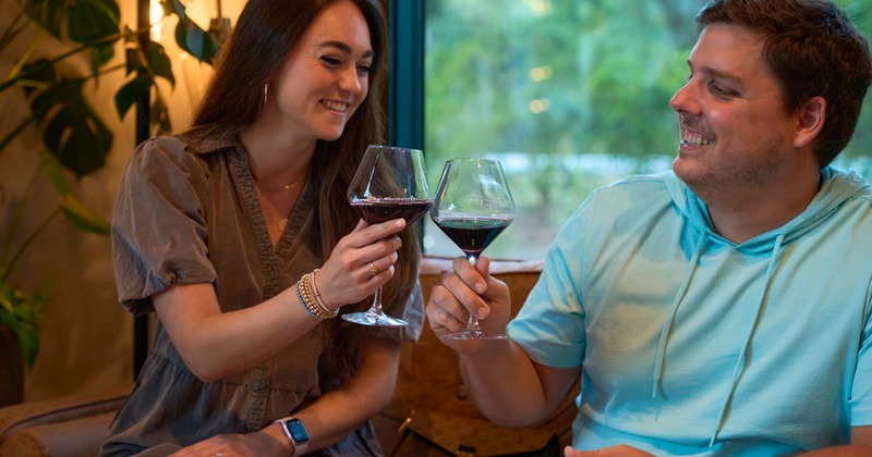 Glasses of wine cheers