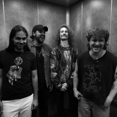 gallery photo number 554