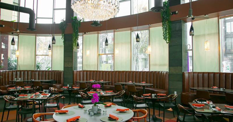 Interior, dining area