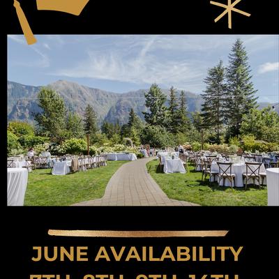 gallery photo number 334