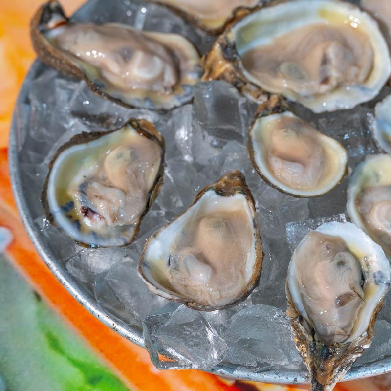 Oyster Shots photo